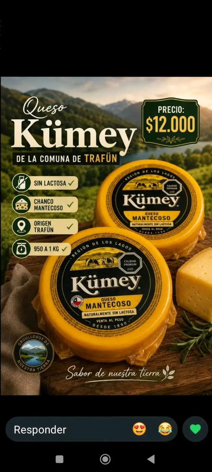 Queso Mantecoso Kümey Sin Lactosa 950g - 2