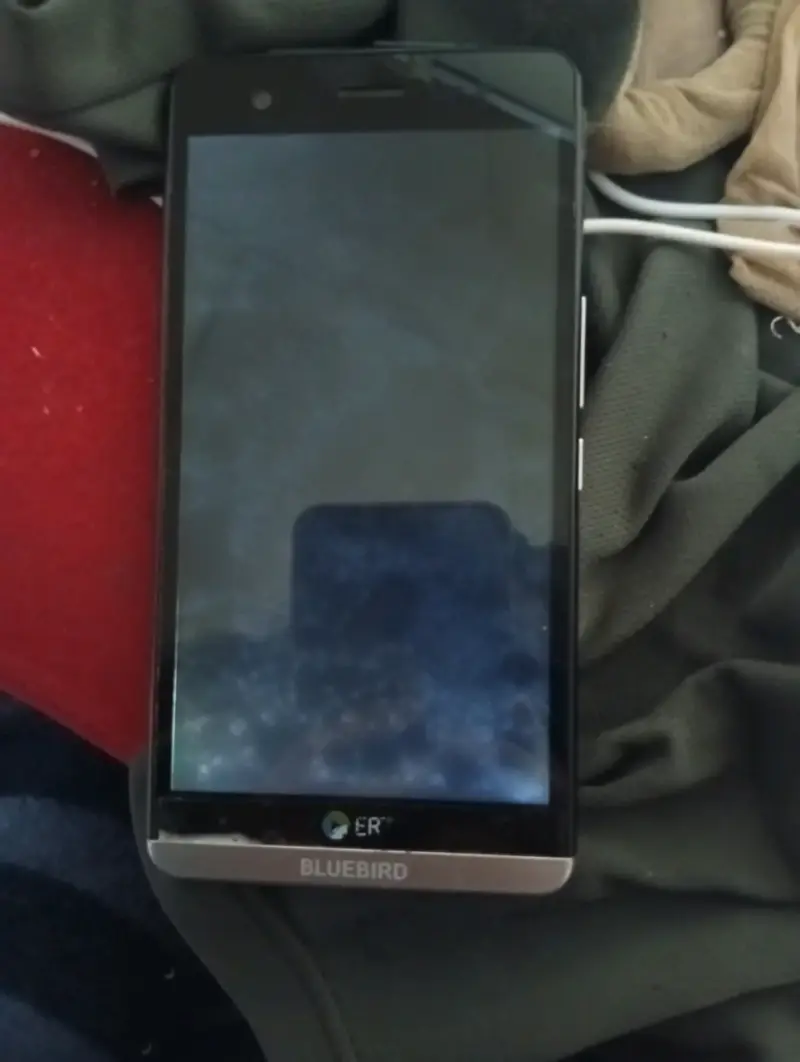 Smartphone Industrial Bluebird para desarme - 1
