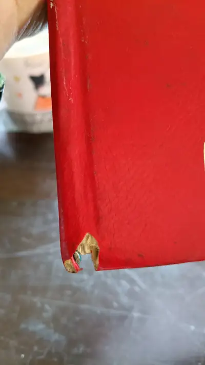 Colección de libros Érase Una Vez... El Hombre - miniatura 2