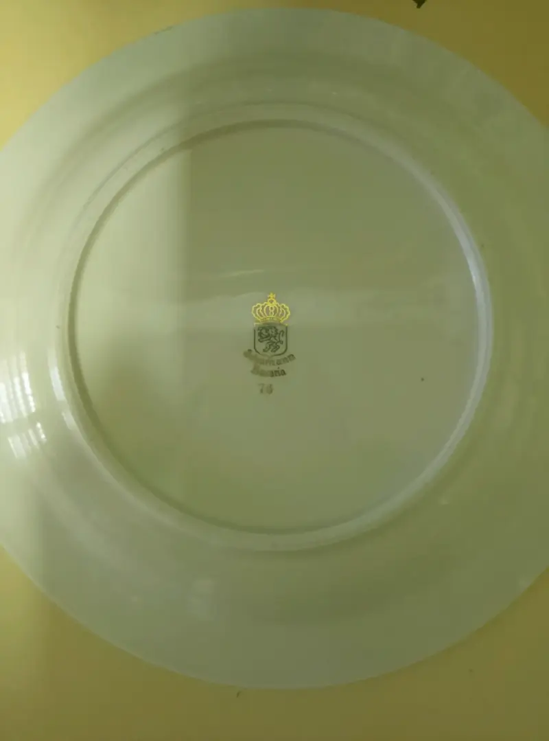 Plato de porcelana con diseño floral - 2