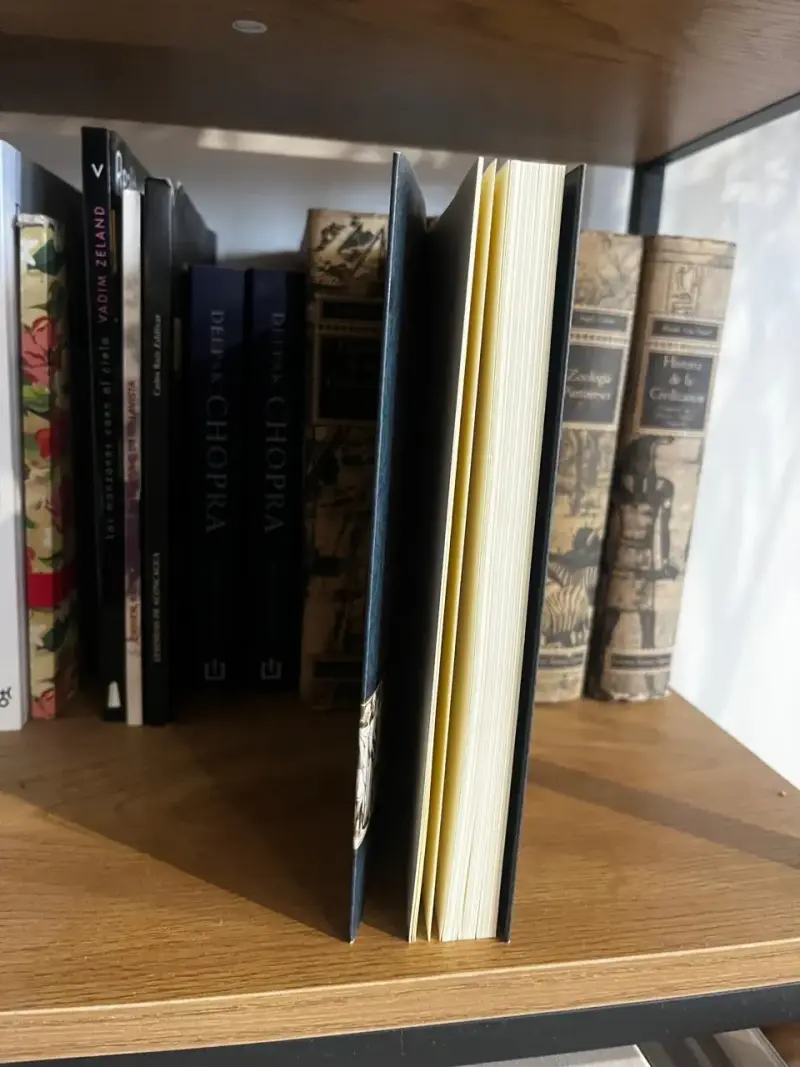 Guía Rápida de Las 48 Leyes del Poder de Robert Greene - 2