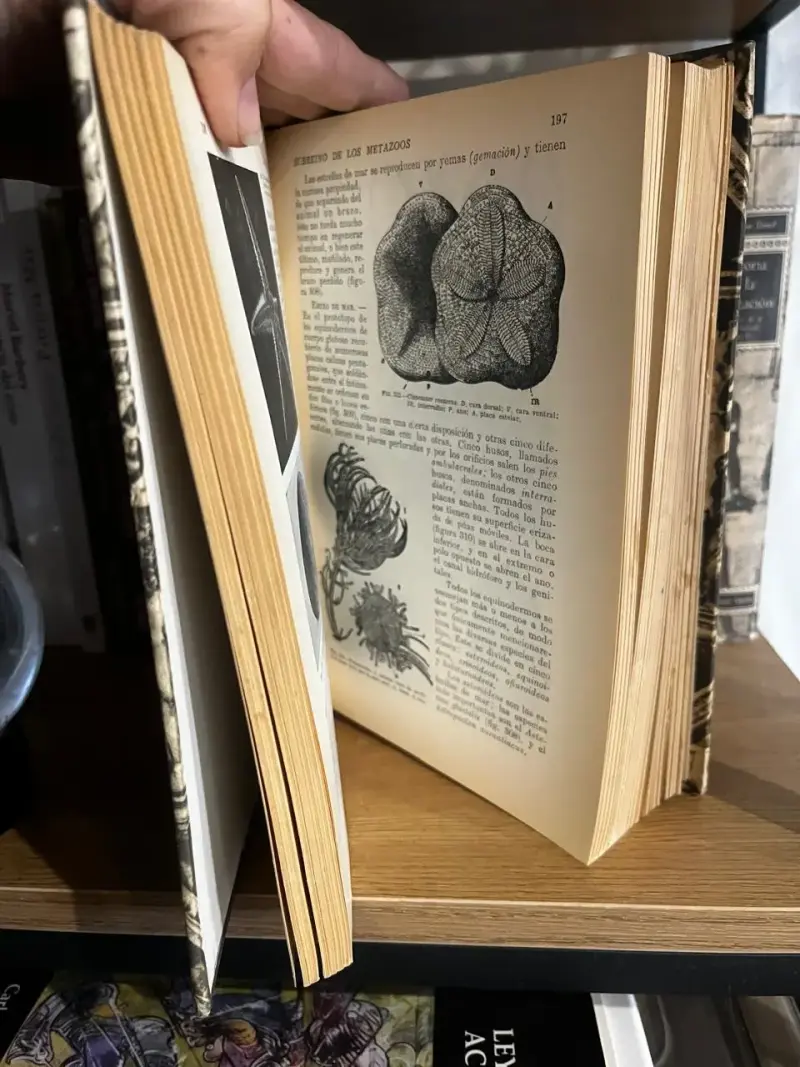 Libro Ciencias Físicas y Naturales Biblioteca Hispania - 2