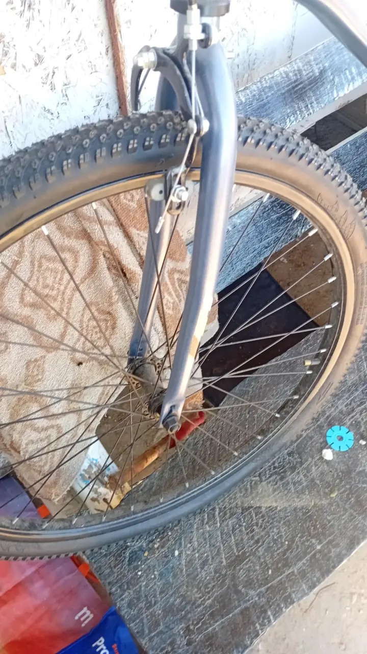 Bicicleta de montaña gris con frenos Shimano - 3
