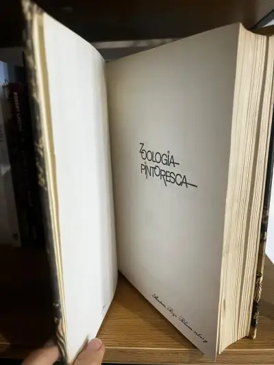 Libro Zoología Pintoresca de Ángel Cabrera - miniatura 2