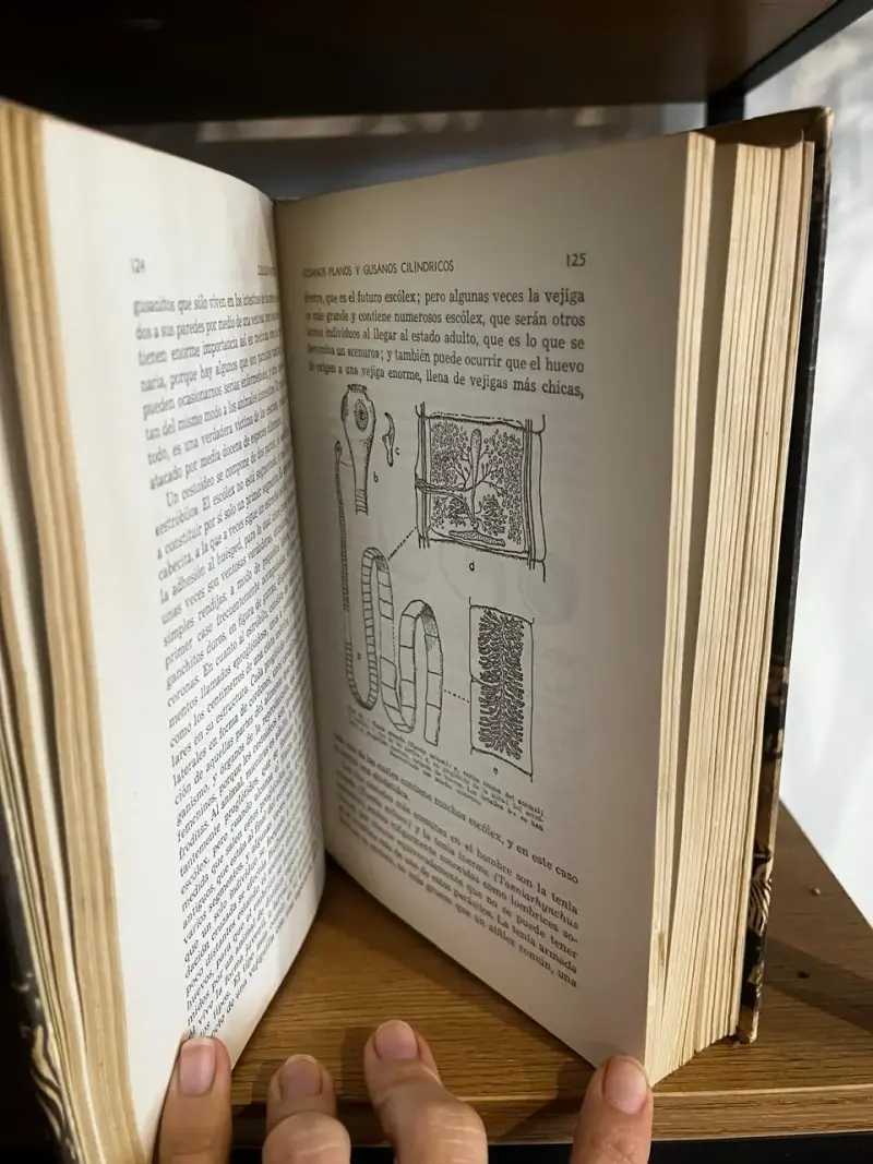 Libro Zoología Pintoresca de Ángel Cabrera - 3