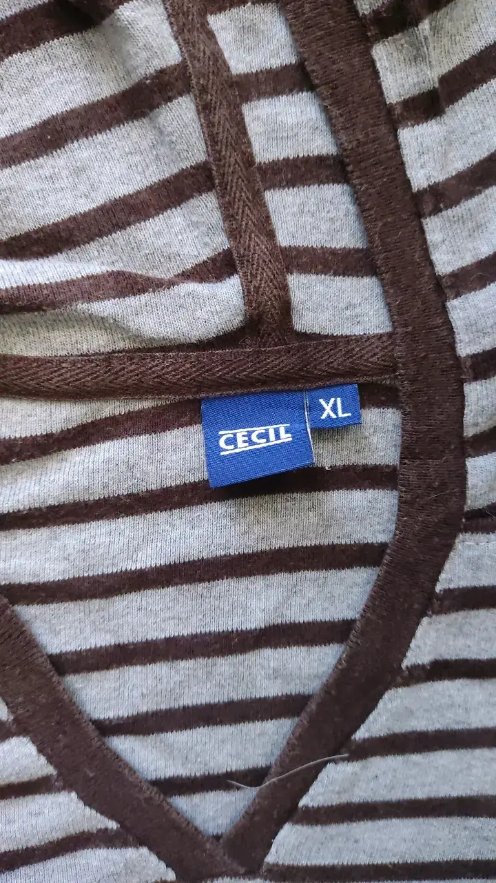 Polera con capucha a rayas Cecil y2k - 3
