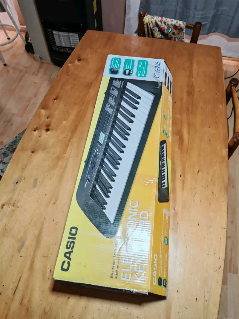 Teclado Casio CTK 245 - 4