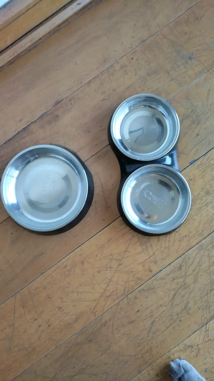 Comedero doble de acero inoxidable para mascotas
