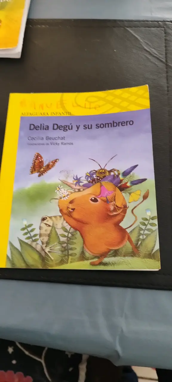Libro infantil 'Delia Degú y su sombrero' de Cecilia Beuchat