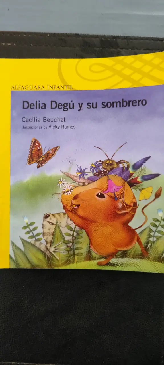 Libro infantil 'Delia Degú y su sombrero' de Cecilia Beuchat - 2