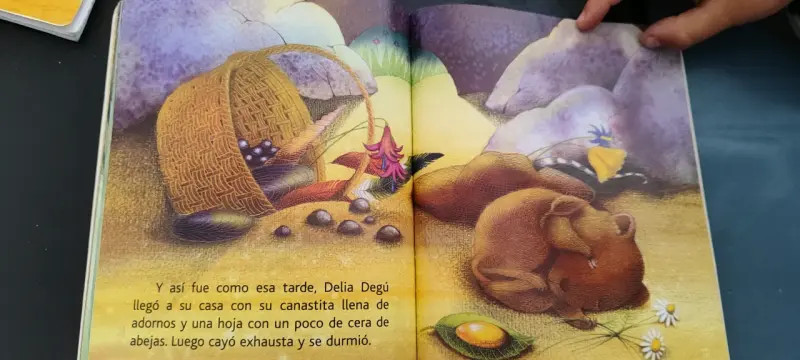 Libro infantil 'Delia Degú y su sombrero' de Cecilia Beuchat - 4