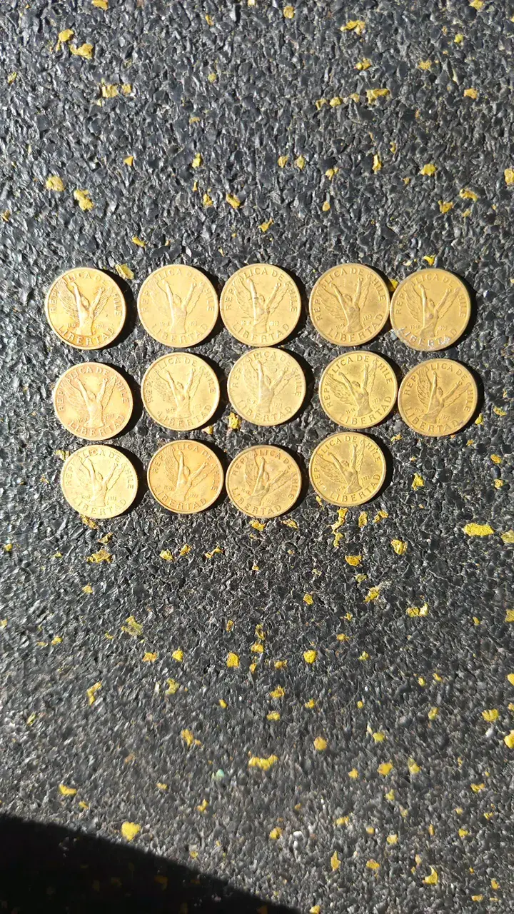 14 Monedas Ángel de la libertad Chile Antiguas - 1