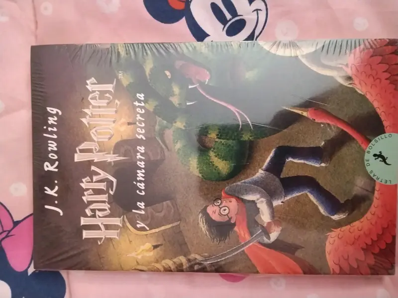 Libro Harry Potter y la Cámara Secreta de J.K. Rowling
