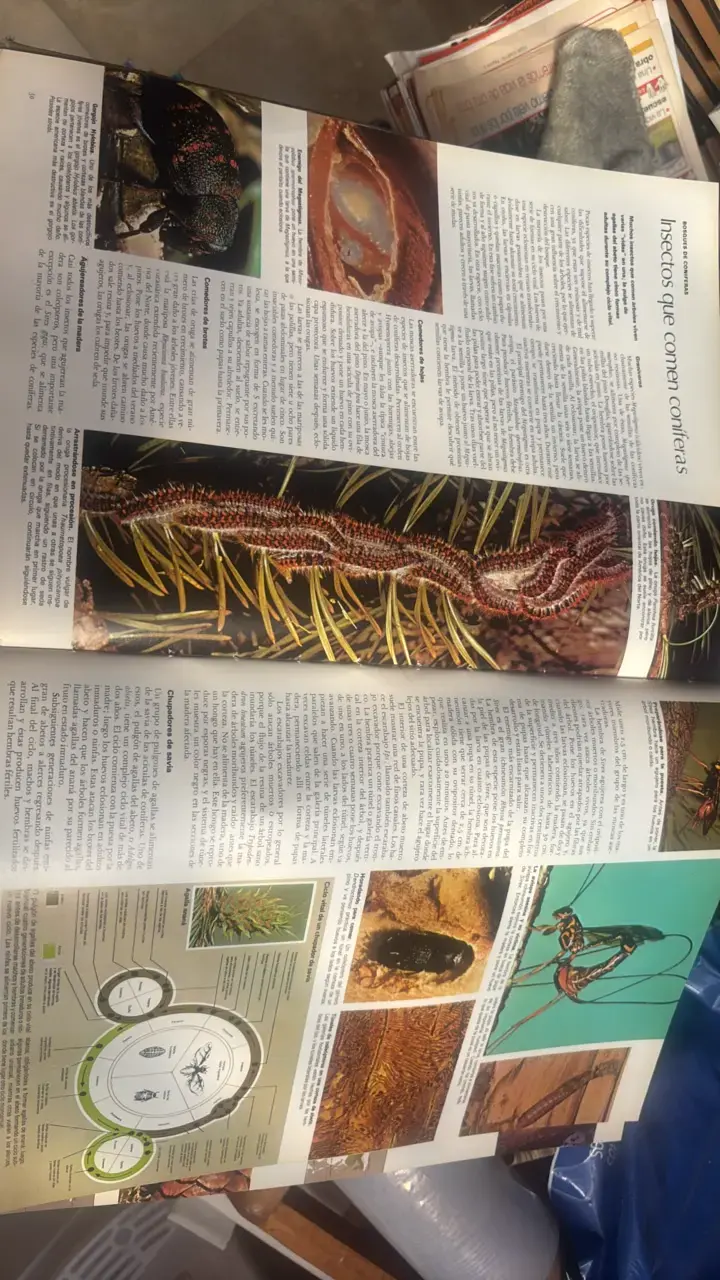 Atlas del Mundo Animal de Reader's Digest - 3