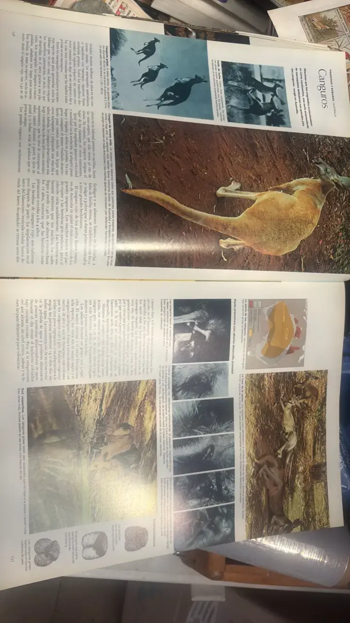 Atlas del Mundo Animal de Reader's Digest - 5