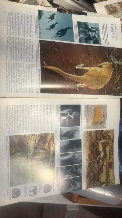 Atlas del Mundo Animal de Reader's Digest - miniatura 5