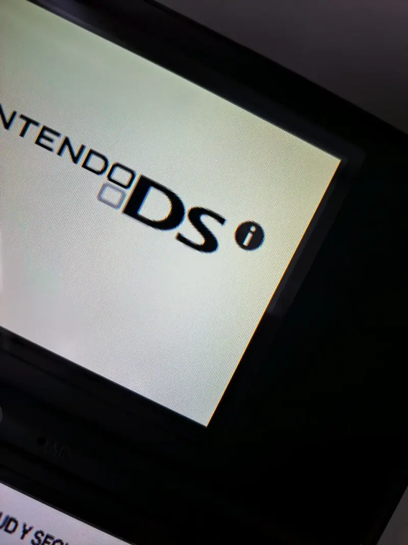 Nintendo DSi - 3