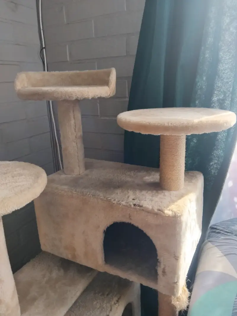 Rascador para gatos con plataformas - 2
