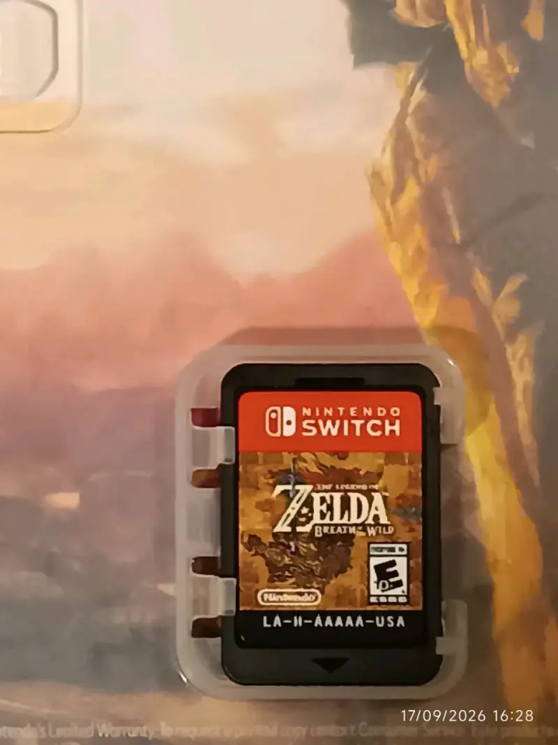 Switch 1 (Zelda Breath of the wild) - 3