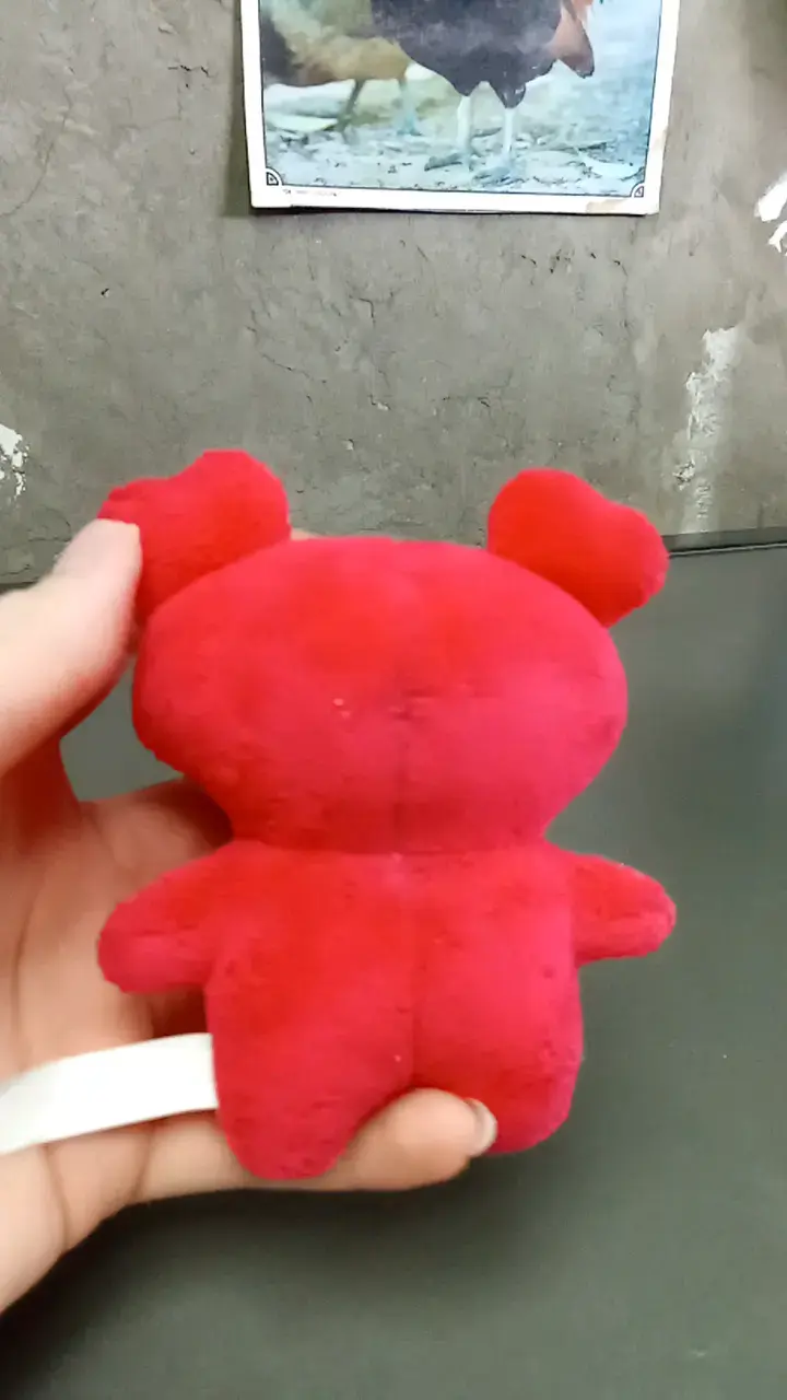 Llavero chaeyoung - 2