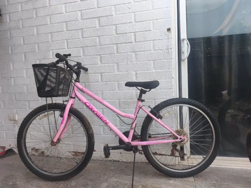 Bicicleta de montaña rosa con canasto