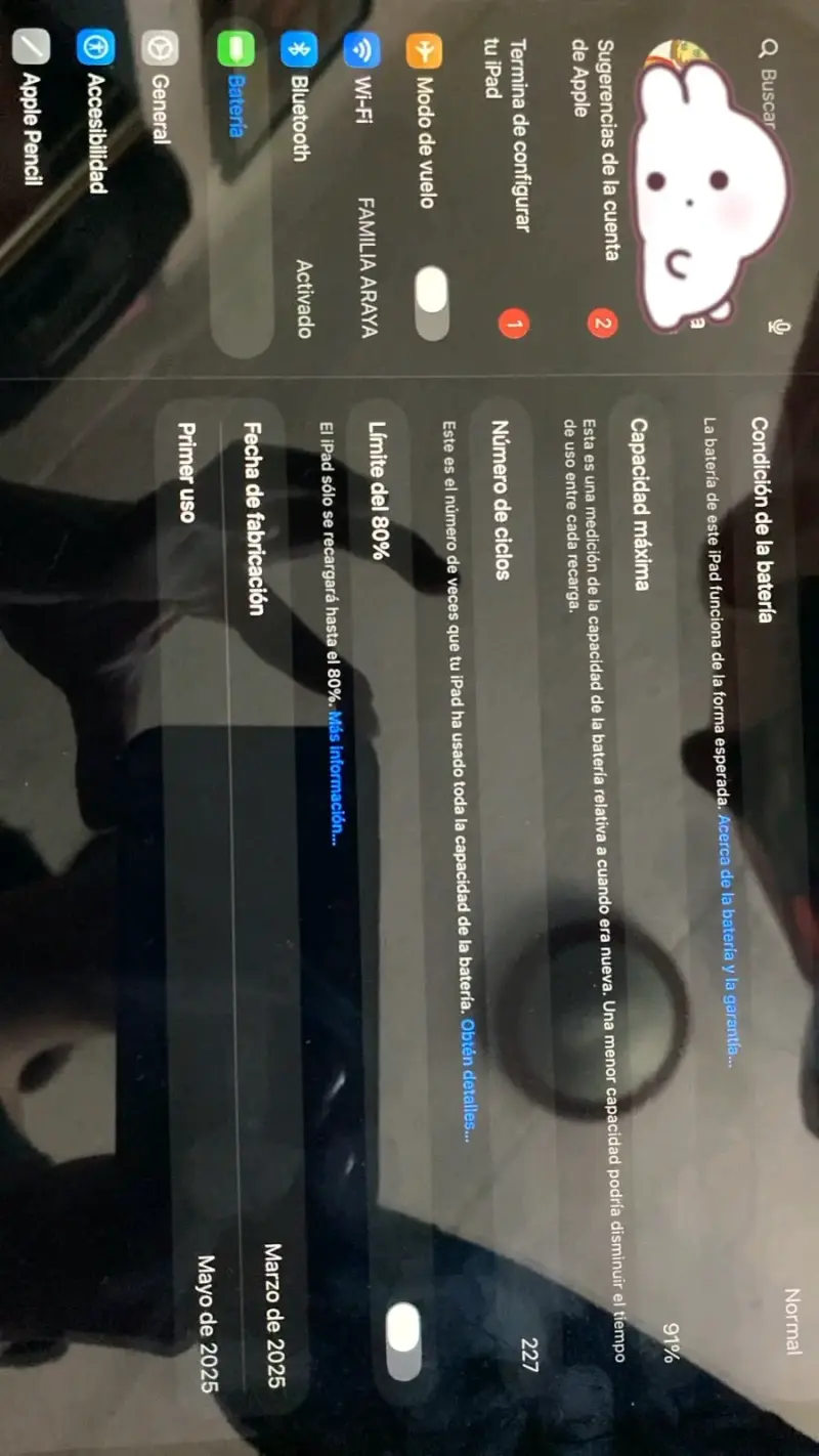iPad con Apple Pencil y funda protectora - 6