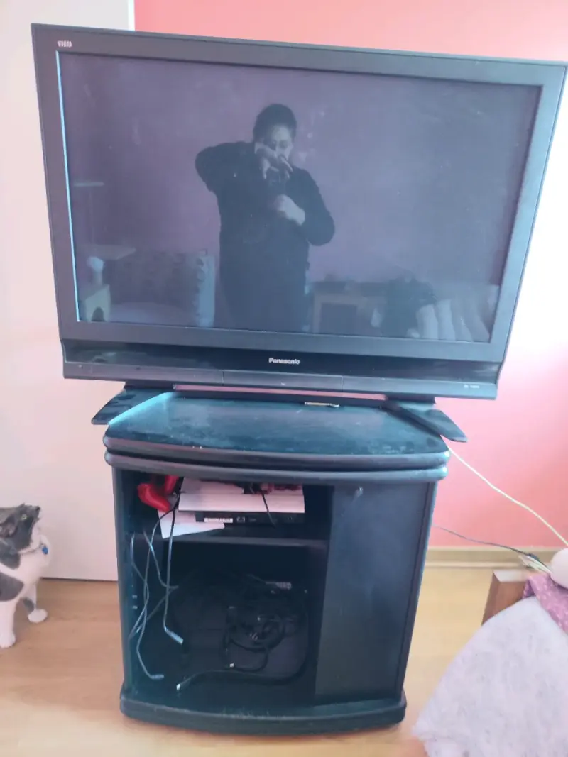 Televisor Panasonic Viera 42 pulgadas con soporte - 1