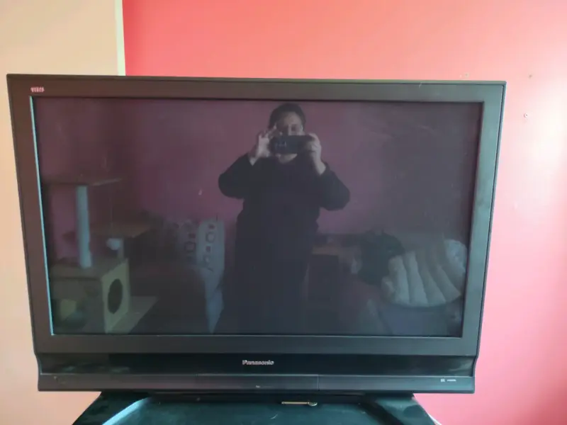 Televisor Panasonic Viera 42 pulgadas con soporte - 2
