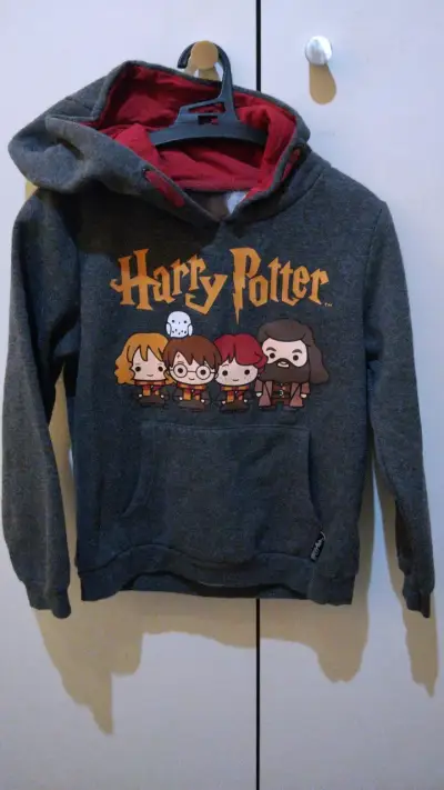 Polerón Harry Potter gris con capucha - miniatura 1