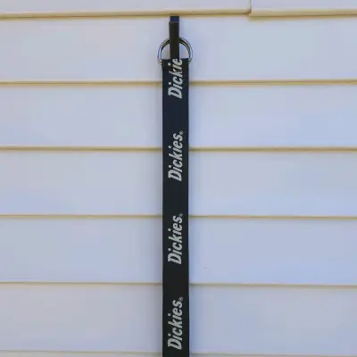 Cinturón negro de tela Dickies con logo - miniatura 2