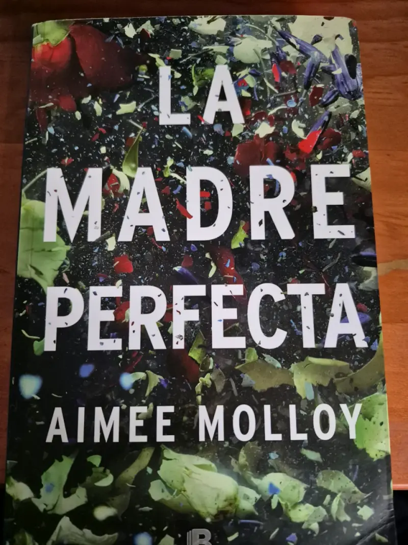 Libro 'La Madre Perfecta' de Aimee Molloy - 1