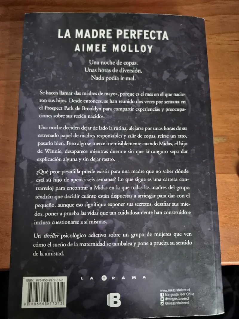 Libro 'La Madre Perfecta' de Aimee Molloy - 2
