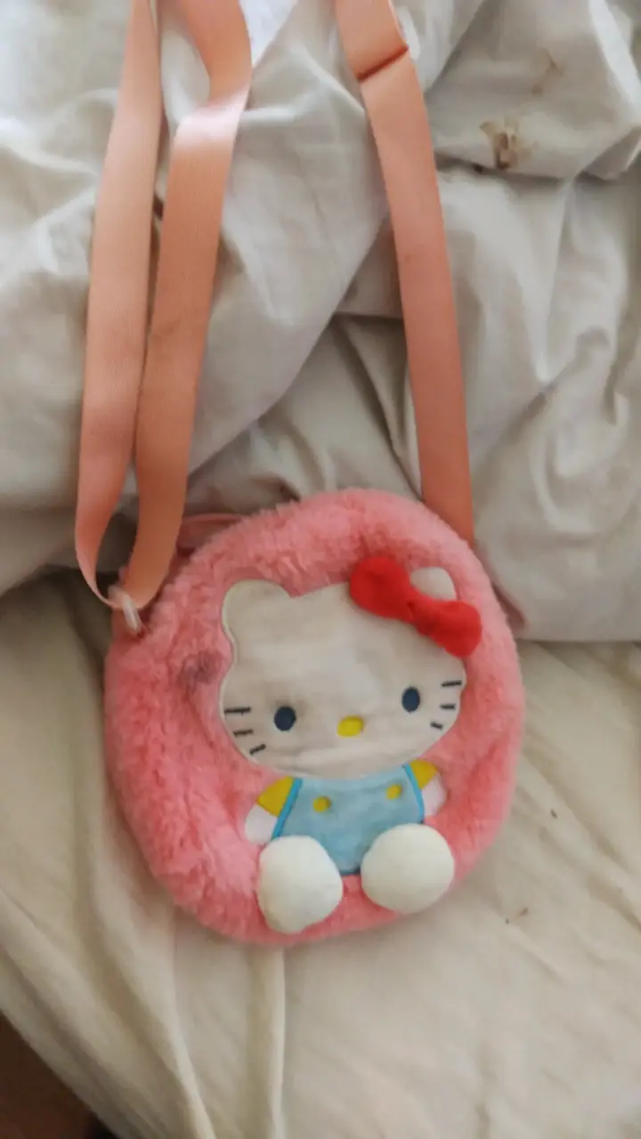 cartera de hello kitty