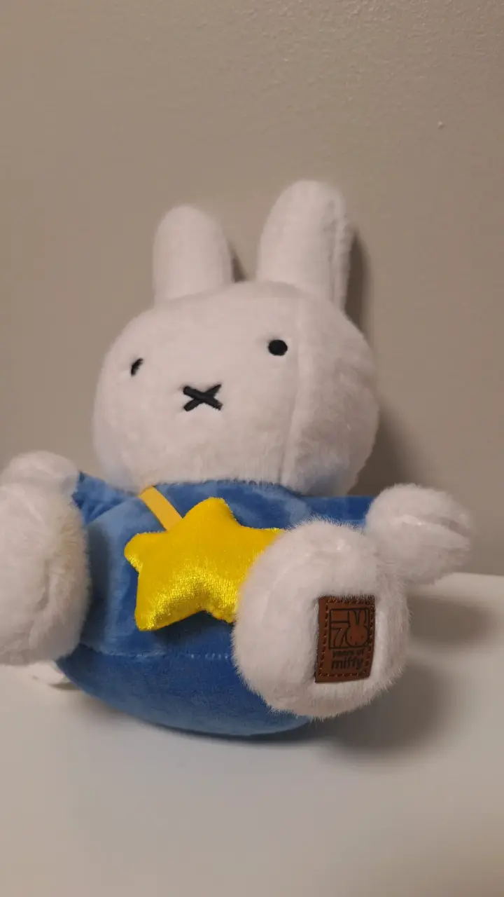 Peluche Miffy Conejo Blanco con Estrella - 4