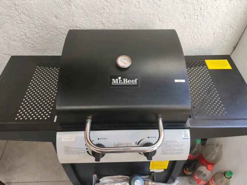 Parrilla a gas Mr. Beef con termómetro - 1