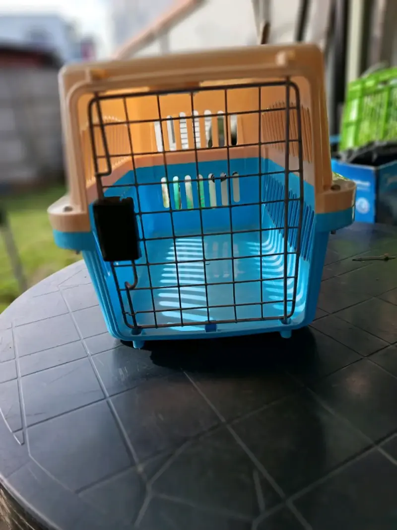 Transportadora de mascotas plástica azul y beige - 2