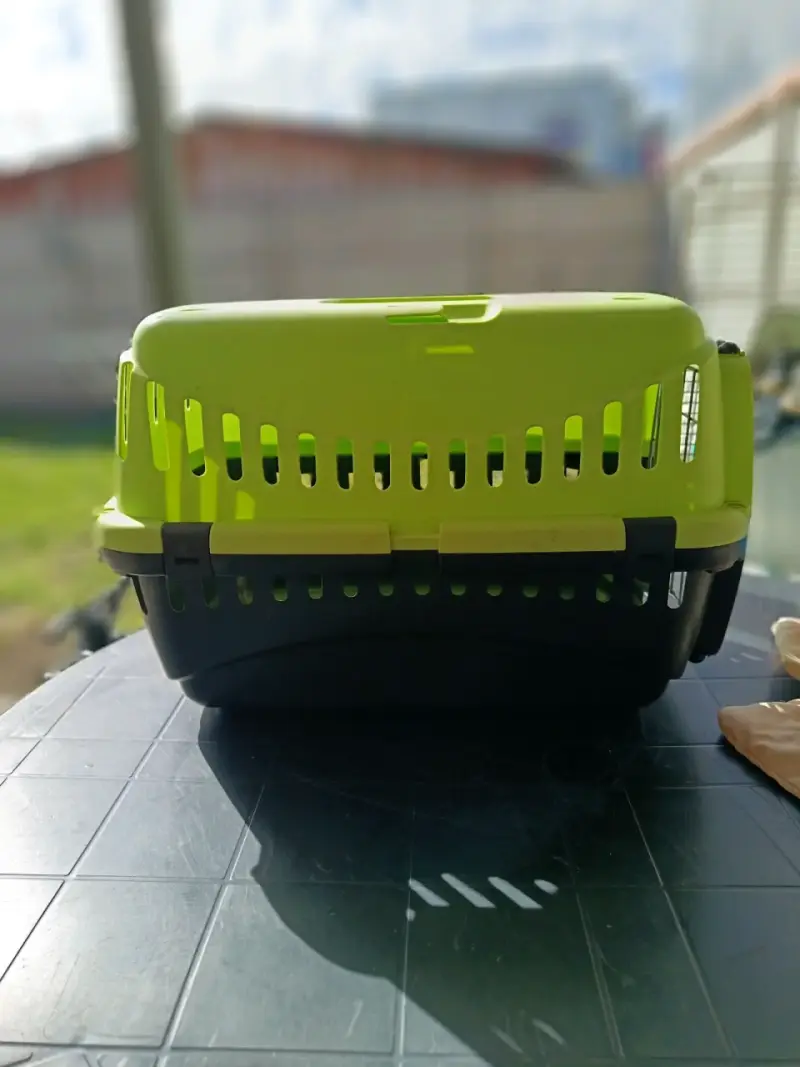Transportadora de mascotas verde y negra - 2