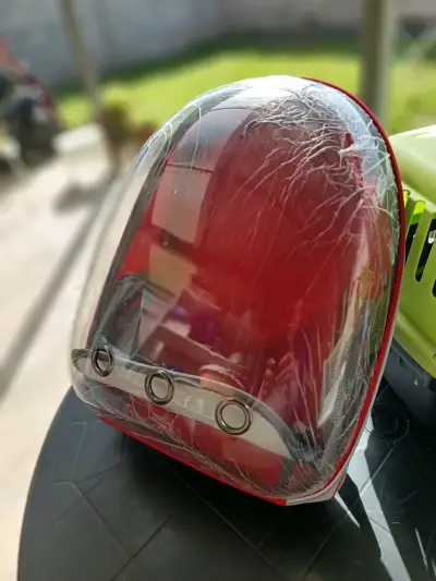 Mochila transportadora para mascotas roja - miniatura 1