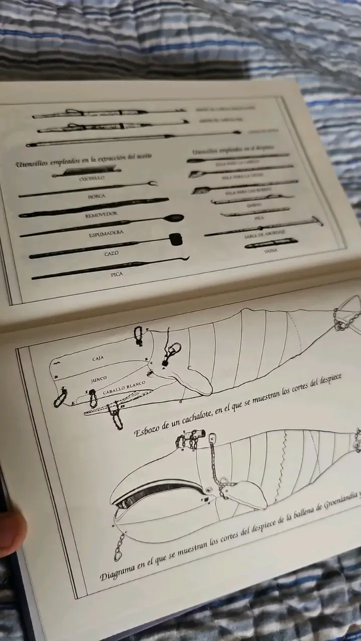 Libro Moby Dick de Herman Melville Edición Especial - 3