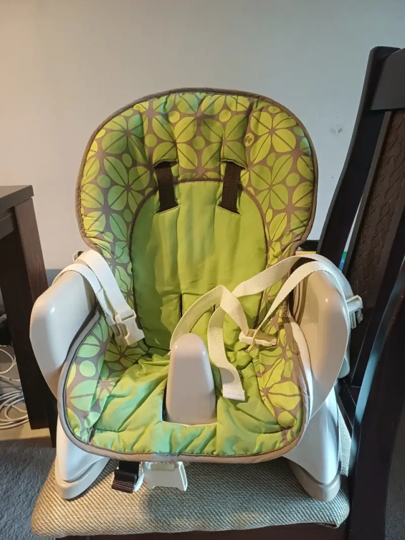 Silla de comer portátil Fisher-Price verde - 1