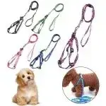 Arneses ajustables para perros en varios colores - 2