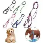 Arneses ajustables para perros en varios colores - miniatura 2