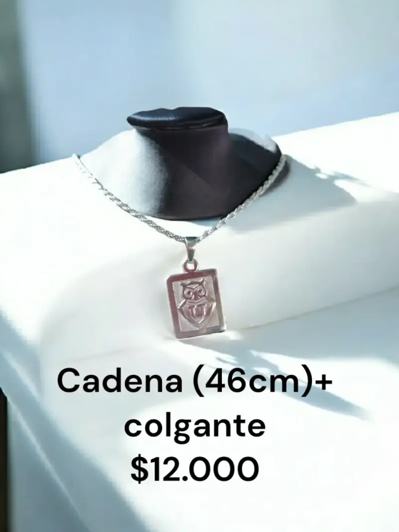 Cadena de 46cm con colgante de la U