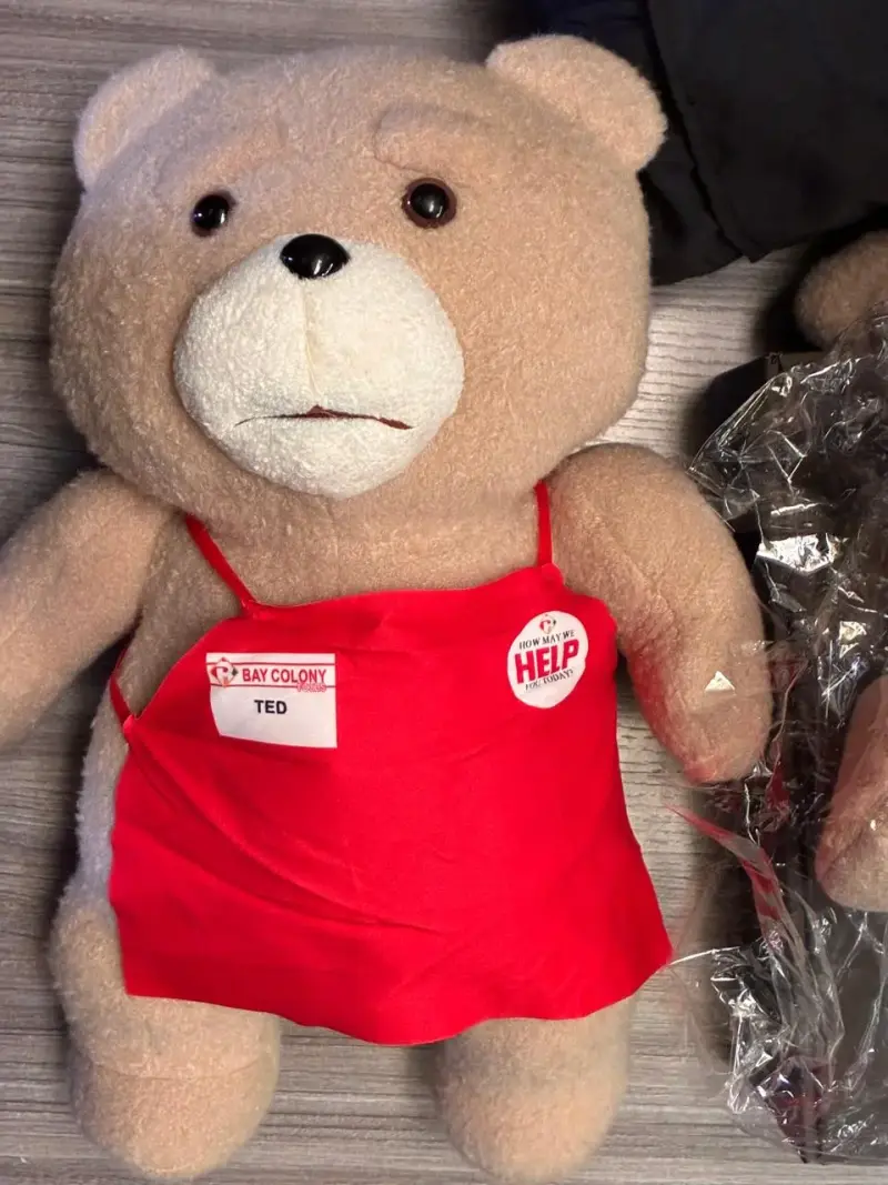 Oso Ted Peluche 45 Cm Con (delantal) Chile - 1