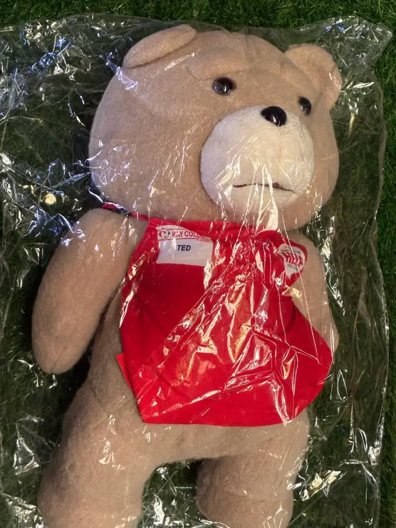 Oso Ted Peluche 45 Cm Con (delantal) Chile - 2