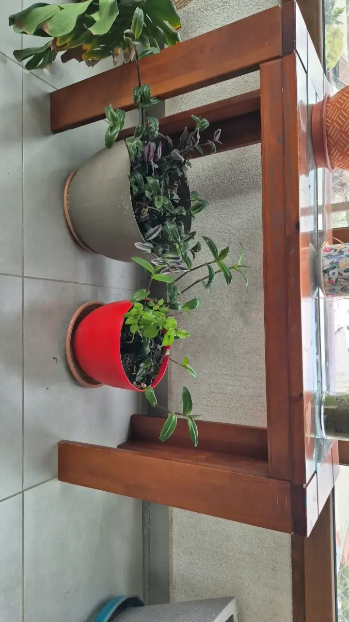Mesa de Madera para Terraza con Vidrio - 1