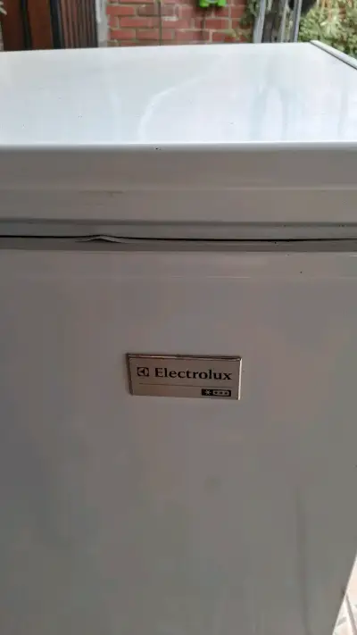 Congelador horizontal Electrolux A+ eficiente - miniatura 3