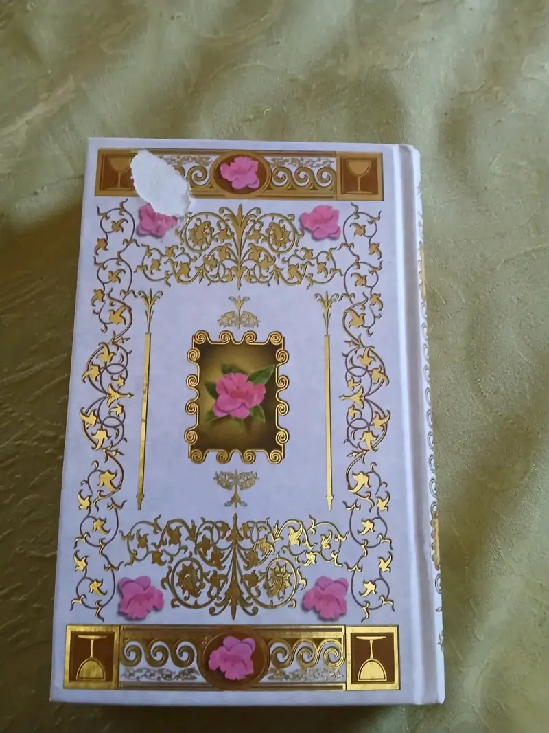 Libro RBA La Dama de las Camelias - 2
