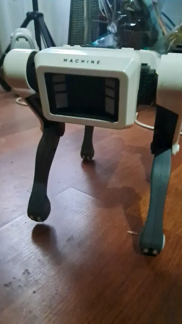 Robot perro inteligente multifuncional para niños - 2