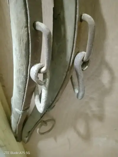 Collarón de tiro  con data entre 60 y 100 años - miniatura 1